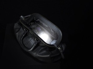 Purse Light